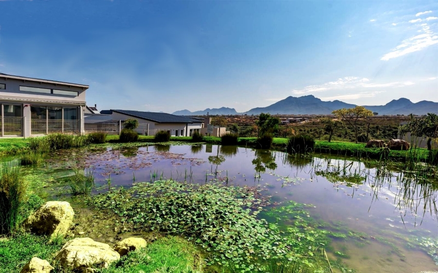 Commercial Property for Sale in Welgelegen Western Cape